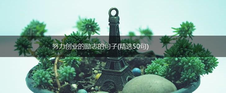 努力创业的励志的句子(精选50句),第1张