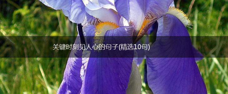 关键时刻见人心的句子(精选10句),第1张