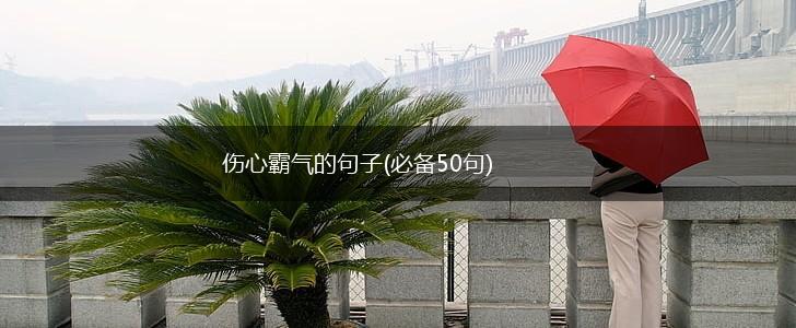 伤心霸气的句子(必备50句),第1张