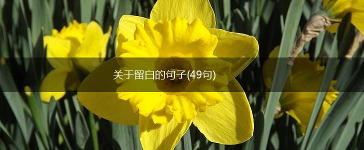 关于留白的句子(49句),第1张