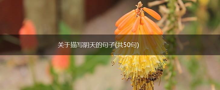 关于描写阴天的句子(共50句),第1张