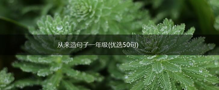 从来造句子一年级(优选50句),第1张