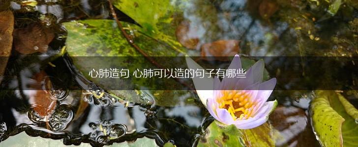 心肺造句 心肺可以造的句子有哪些,第1张