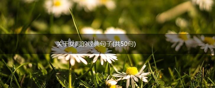 关于女同的经典句子(共50句),第1张