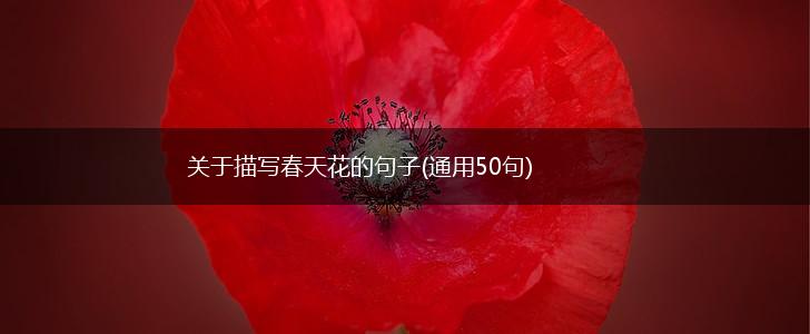 关于描写春天花的句子(通用50句),第1张