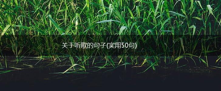关于听歌的句子(实用50句),第1张