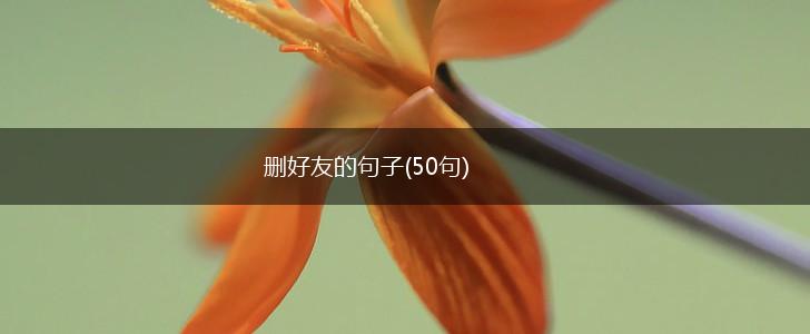 删好友的句子(50句),第1张