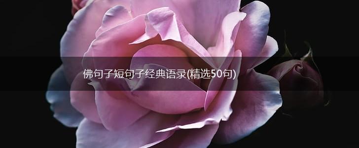 佛句子短句子经典语录(精选50句),第1张