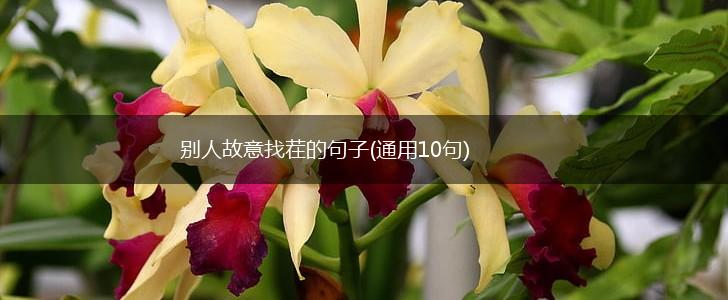 别人故意找茬的句子(通用10句),第1张