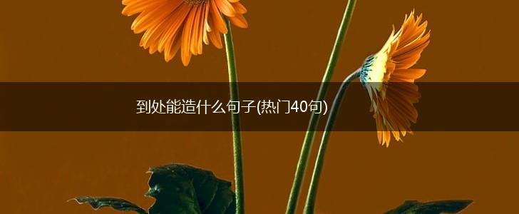 到处能造什么句子(热门40句),第1张