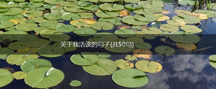 关于我活该的句子(共50句),第1张