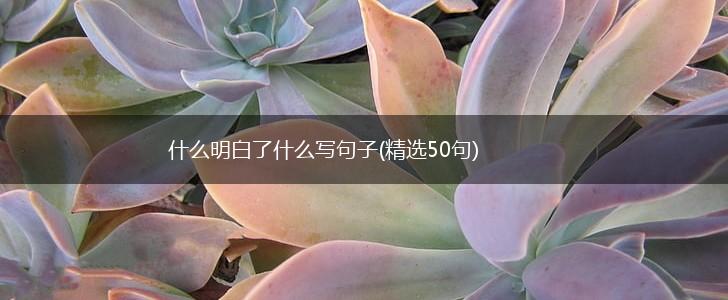 什么明白了什么写句子(精选50句),第1张