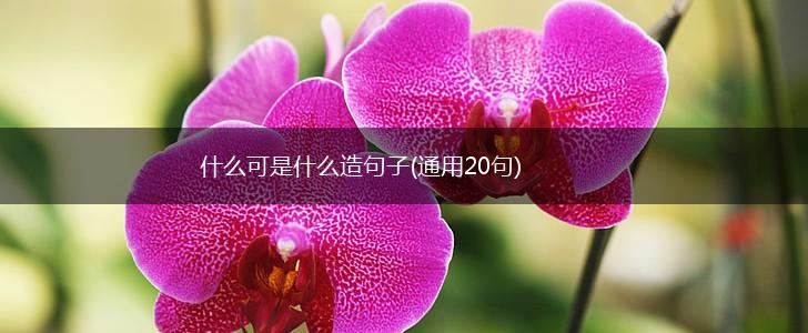 什么可是什么造句子(通用20句),第1张