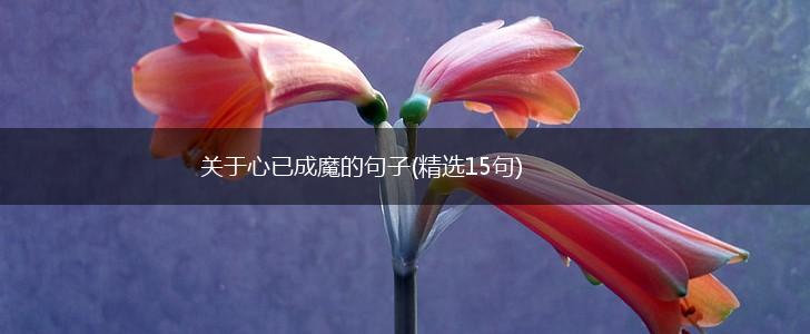 关于心已成魔的句子(精选15句),第1张