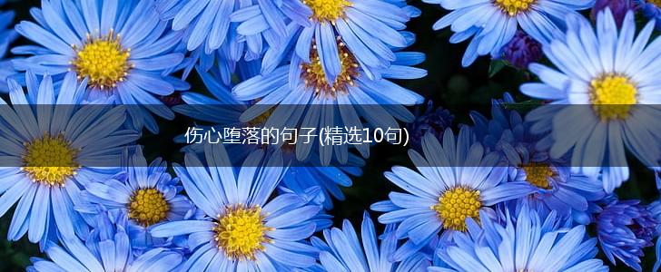 伤心堕落的句子(精选10句),第1张