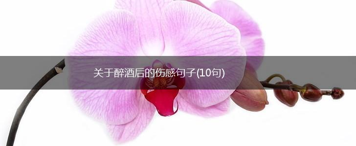 关于醉酒后的伤感句子(10句),第1张