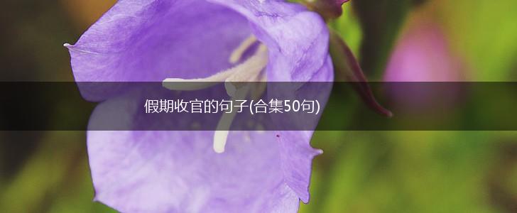 假期收官的句子(合集50句),第1张