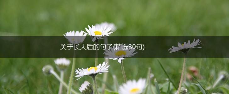 关于长大后的句子(精选30句),第1张