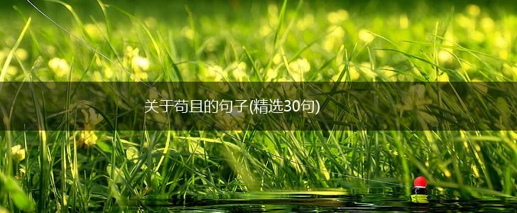 关于苟且的句子(精选30句),第1张