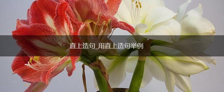 直上造句_用直上造句举例,第1张