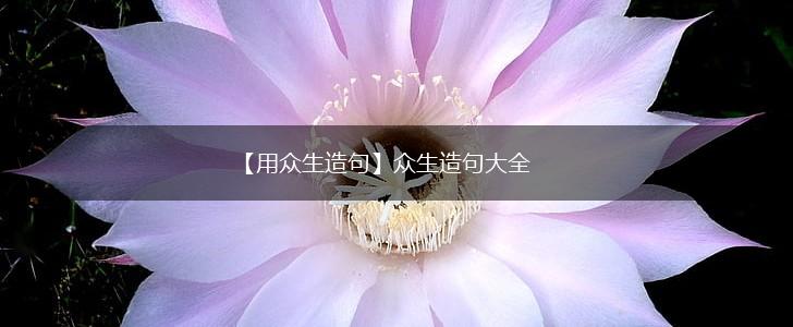 【用众生造句】众生造句大全,第1张