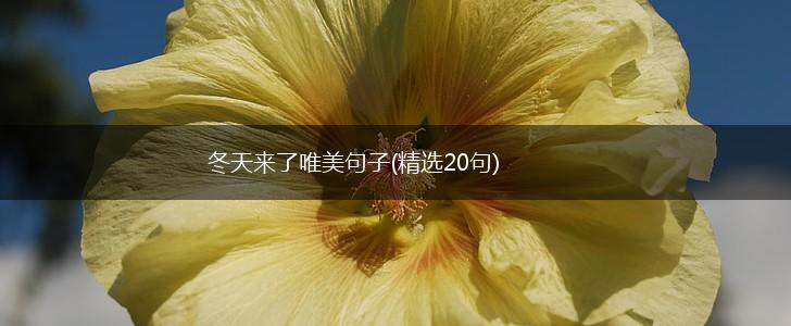 冬天来了唯美句子(精选20句),第1张