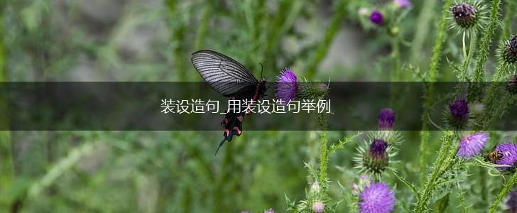 装设造句_用装设造句举例,第1张