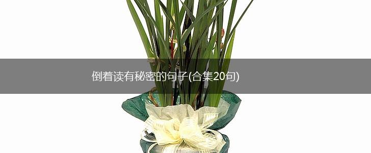 倒着读有秘密的句子(合集20句),第1张