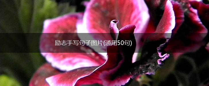 励志手写句子图片(通用50句),第1张