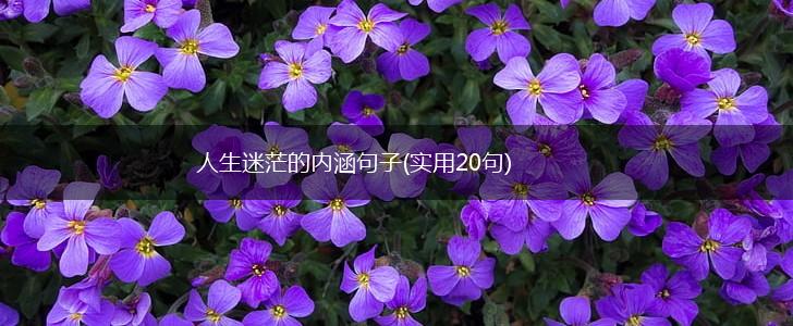 人生迷茫的内涵句子(实用20句),第1张