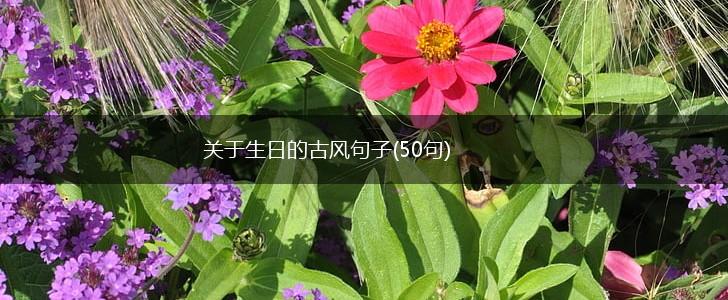 关于生日的古风句子(50句),第1张