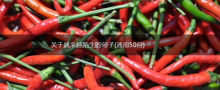 关于越来越陌生的句子(通用50句),第1张