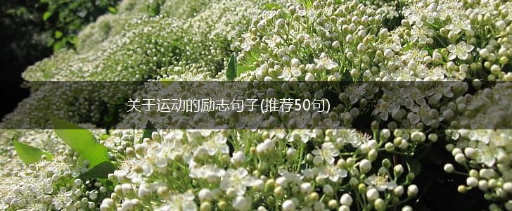 关于运动的励志句子(推荐50句),第1张