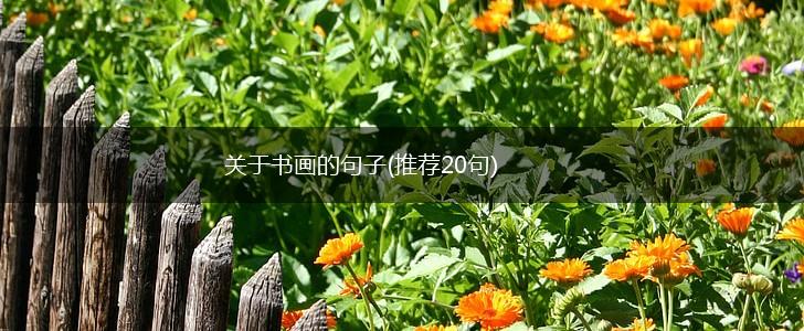 关于书画的句子(推荐20句),第1张