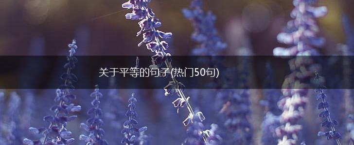 关于平等的句子(热门50句),第1张