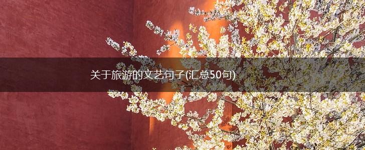 关于旅游的文艺句子(汇总50句),第1张