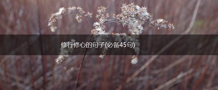 修行修心的句子(必备45句),第1张