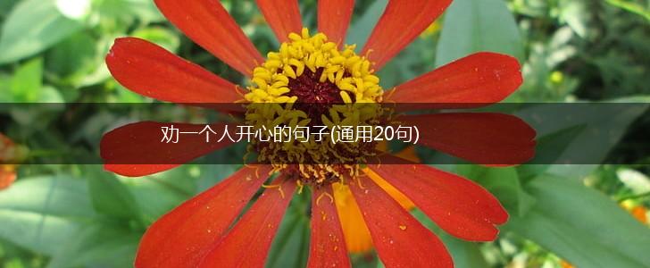 劝一个人开心的句子(通用20句),第1张