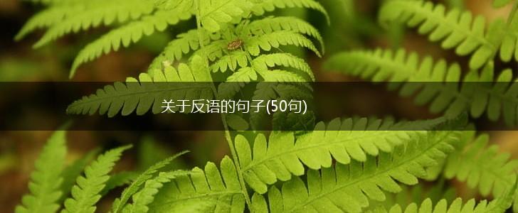 关于反语的句子(50句),第1张