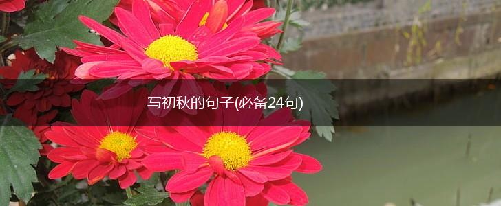 写初秋的句子(必备24句),第1张