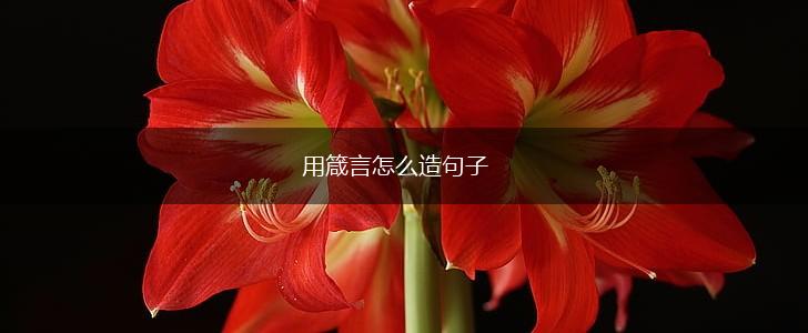 用箴言怎么造句子,第1张
