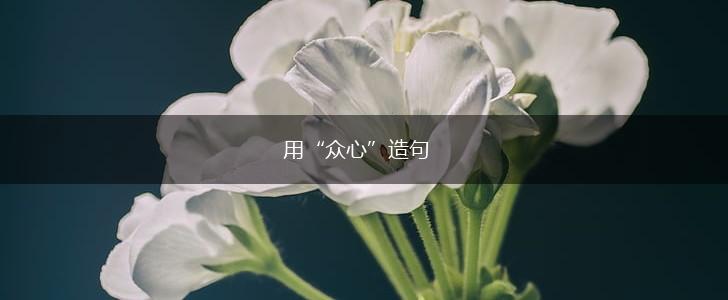 用“众心”造句,第1张