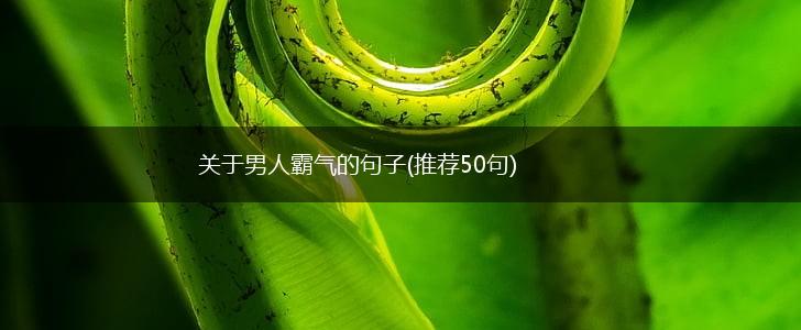关于男人霸气的句子(推荐50句),第1张
