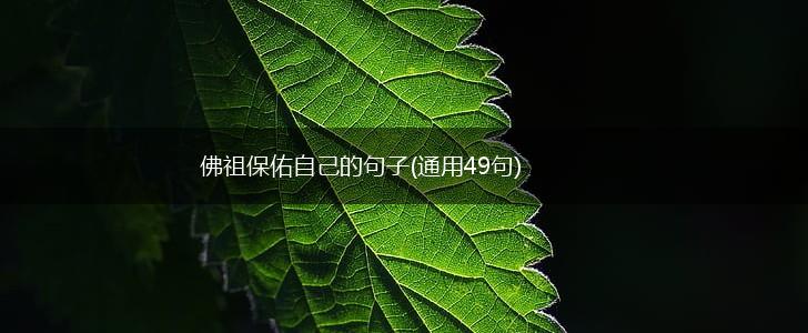 佛祖保佑自己的句子(通用49句),第1张