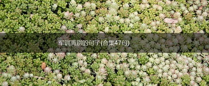军训离别的句子(合集47句),第1张