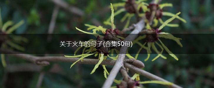关于火车的句子(合集50句),第1张