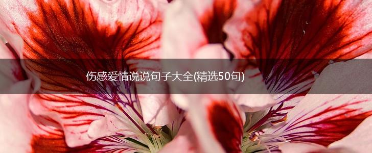 伤感爱情说说句子大全(精选50句),第1张