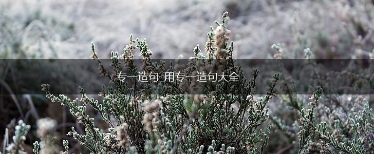 专一造句_用专一造句大全,第1张