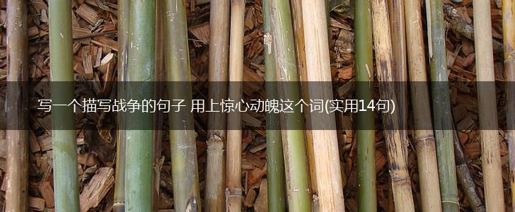 写一个描写战争的句子 用上惊心动魄这个词(实用14句),第1张