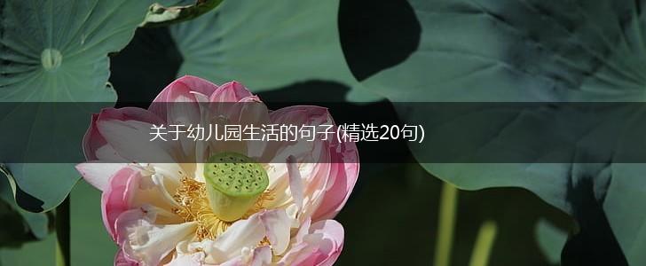 关于幼儿园生活的句子(精选20句),第1张